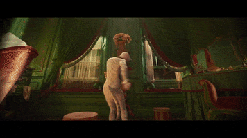 Taylor Swift Cats GIF by Filmin