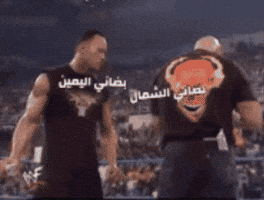 Wwe GIF