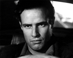 have some young brando GIF by Maudit