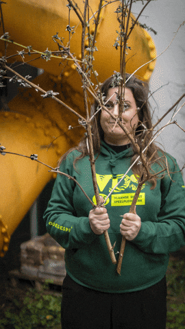 GIF by vdsvzw