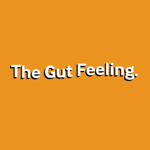 thegutfeeling GIF