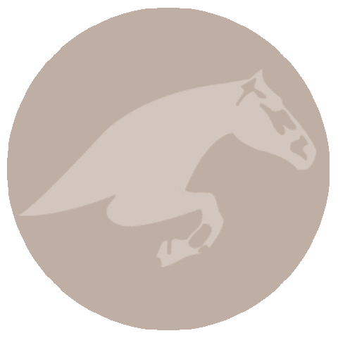 Gold Horse Sticker by Tops International Arena