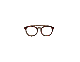 Glasses Sticker by Lentiamo