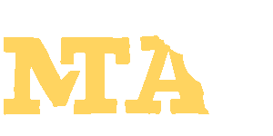 Mta Sticker by Mexico Travel Adventure