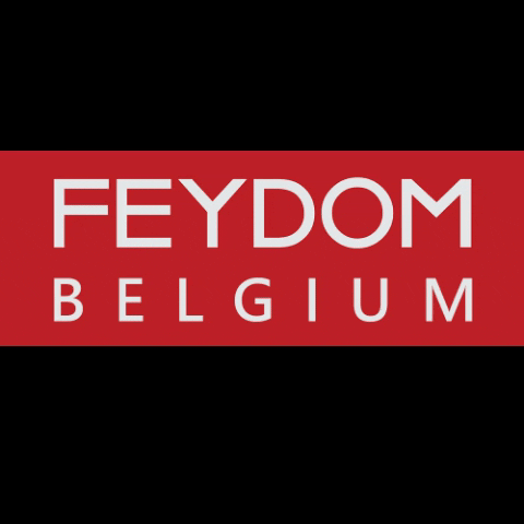 HOIOOOD design belgium sofa gent GIF