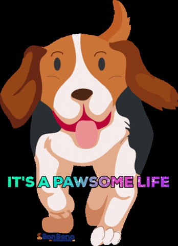 BonBeno GIF