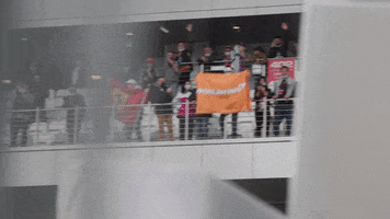 Flag Fans GIF by McLaren
