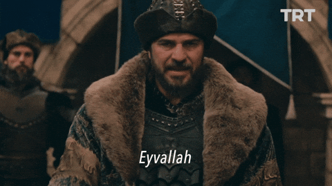 Giphy - thanks wow GIF by TRT