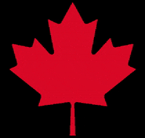Maple Leaf Canada GIF by Tim Hortons UK & IE