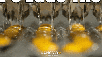 that is awesome x factor GIF by SANOVO TECHNOLOGY GROUP