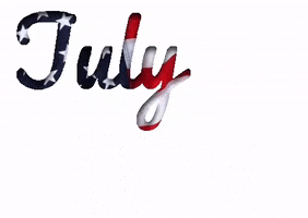 donnathomas-rodgers america us independence day 4th of july GIF