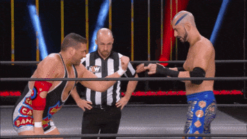 200.gif?cid=fc005b085e7a9c6b37c22347d78afbc4b37fa617ed275c5c&rid=200.gif&ct=g
