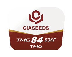 Tmg Sticker by Ciaseeds
