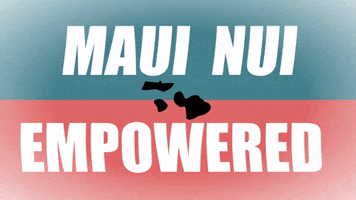 kklmaui GIF