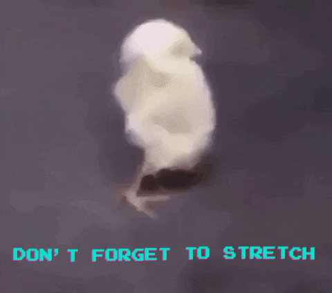 stretched meme gif