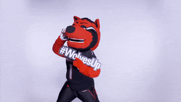 Howling Red Wolves GIF by Arkansas State University