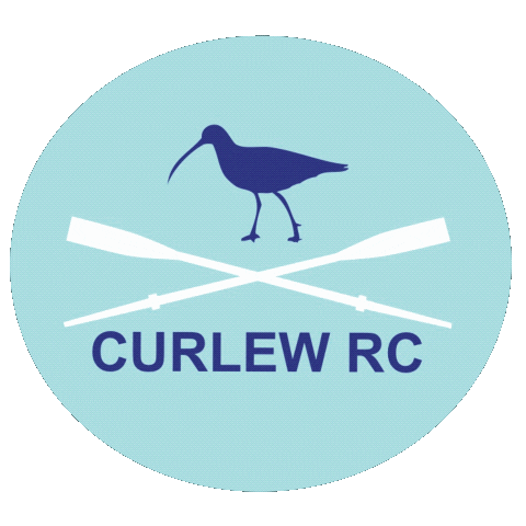 Curlew Sticker