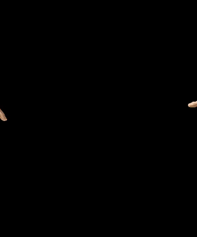AOKlabs GIF