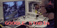 Google GIF