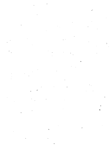 Stars Sticker