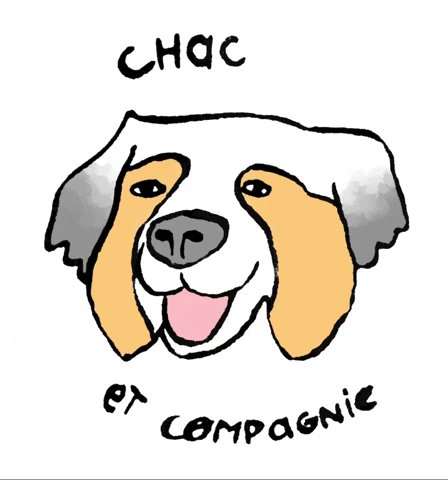 Chachouetcompagnie GIF