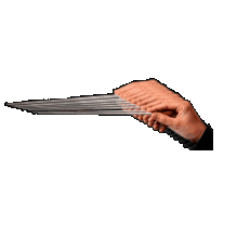 Wendolien Krul Muziek Sticker