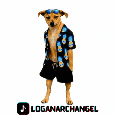 Cool Dog Logan GIF