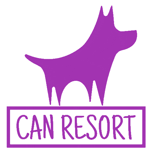 Thebullymansion Sticker by BullysTVShows