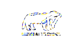 Innsbruck Sticker by Dachsbau