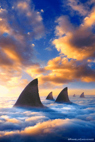 Sky Shark GIF