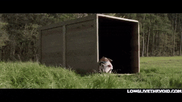 The Hunt GIF