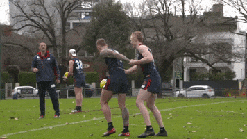 Melbourne Football Club Demons GIF by Melbournefc