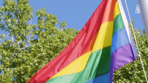 Rainbow Flag GIFs - Get the best GIF on GIPHY