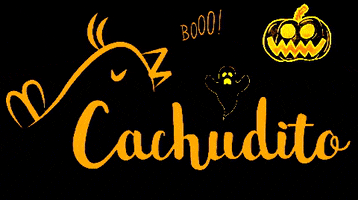 Cachudito GIF