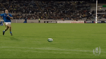 Italy Rugby Sport GIF by Rugby World Cup