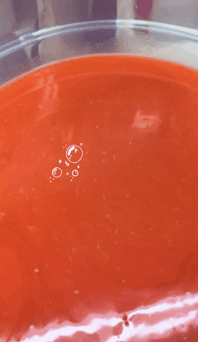 Emz Blendz GIF