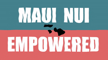 kklmaui GIF
