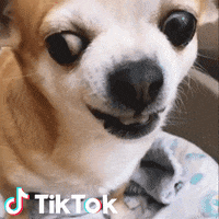 200.gif?cid=fc005b081ddc3c1b317304723efe318418ab5e45e2ad1f08&rid=200.gif&ct=g