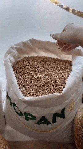 MOPAN GIF