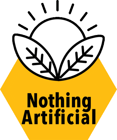 Fizzy Beez Sticker