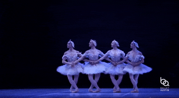 Swan Lake Swans GIF by Ballet Austin