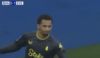 Premier League Dance GIF