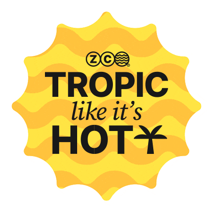 Dance Cruise Sticker by Zumba Fitness