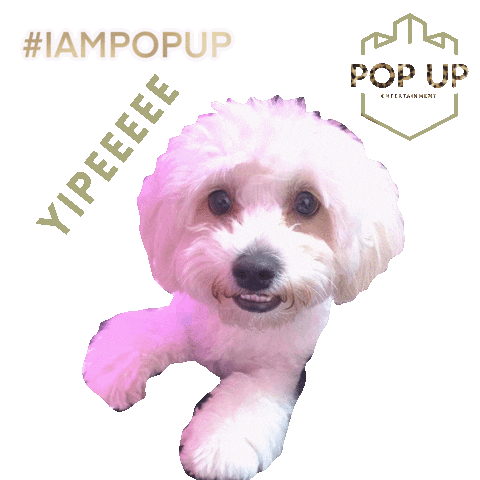 Pop up entertainment Sticker