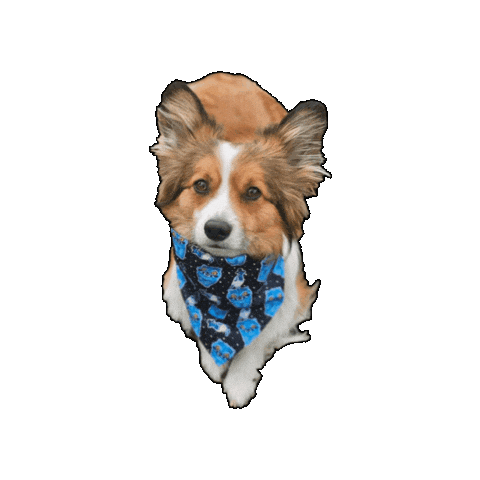 Corgi Bentley Sticker by Geekster Pets