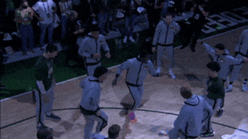 Nba Playoffs Sport GIF by NBA