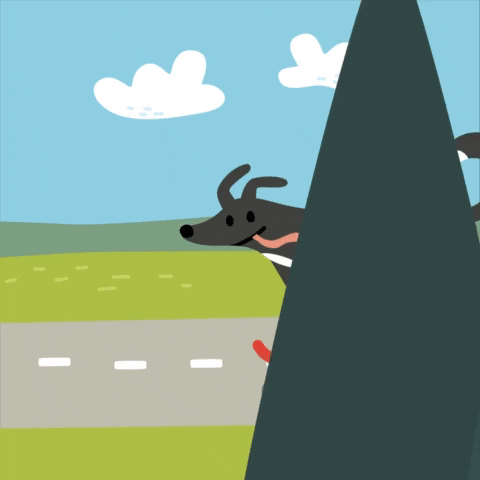 Illustration GIF