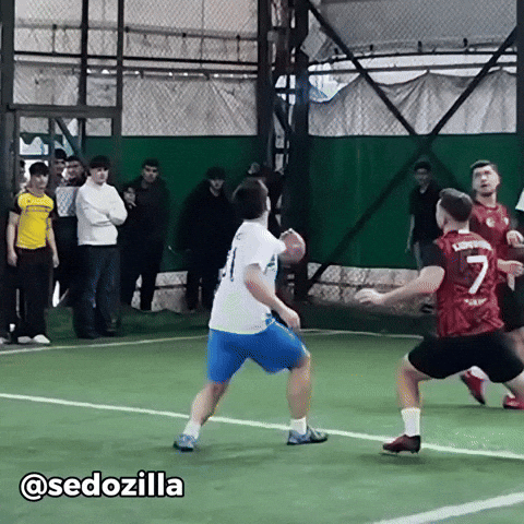 Sedozilla GIF