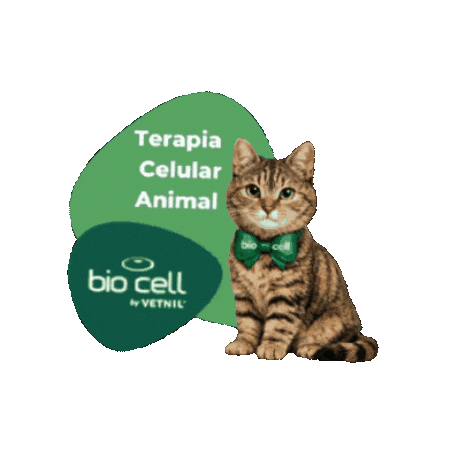 Terapia Celular Sticker by BIO CELL by Vetnil