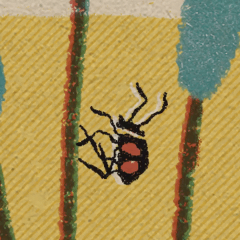 Bug GIF by Aaron Hughes